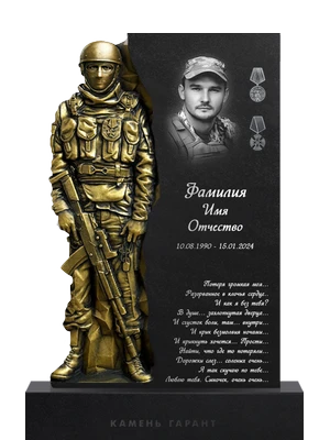 Защитник Отечества, цвет бронза